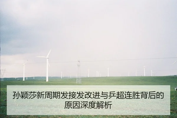 孙颖莎新周期发接发改进与乒超连胜背后的原因深度解析